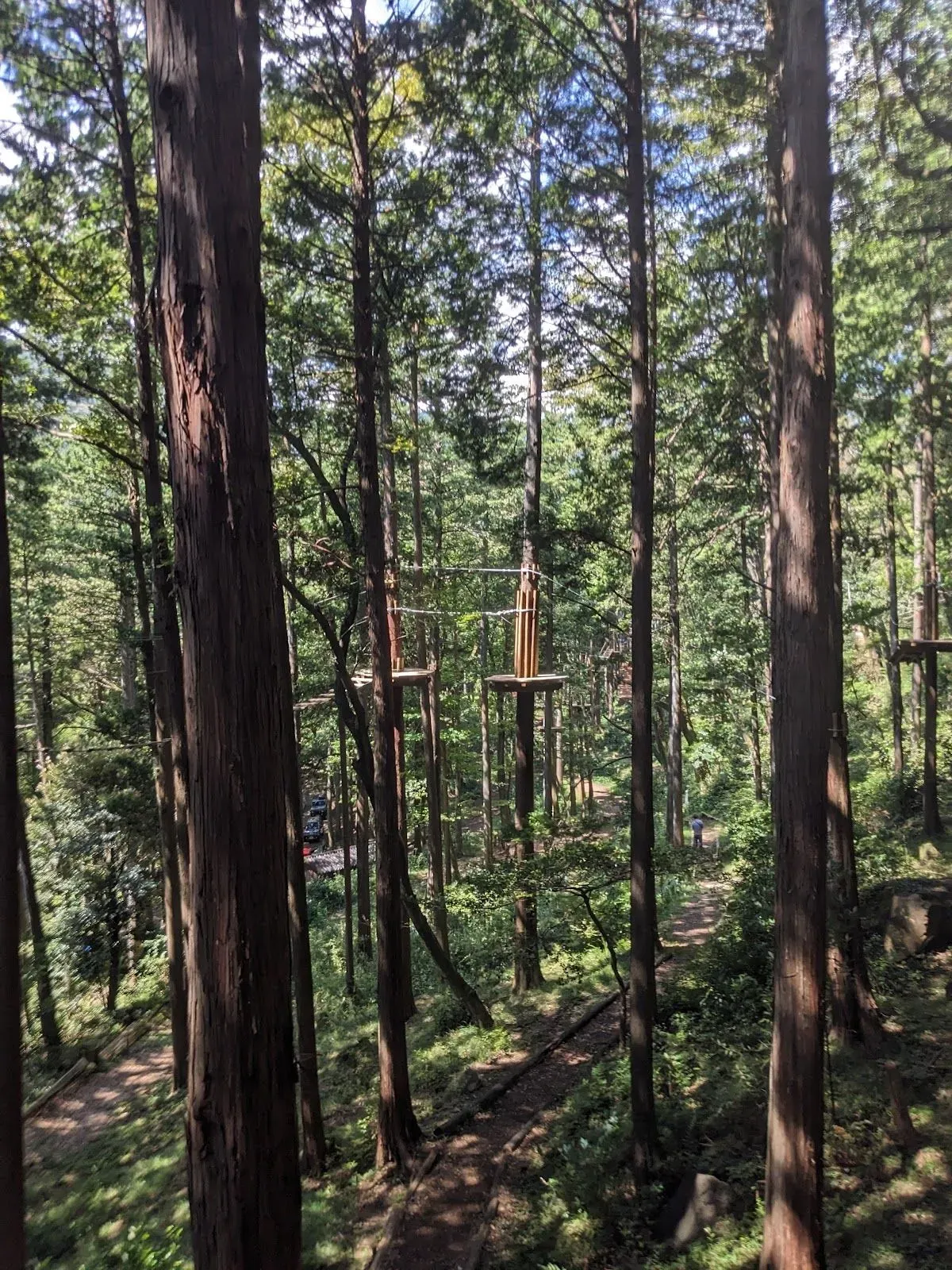 Forest Adventure Hakone 4