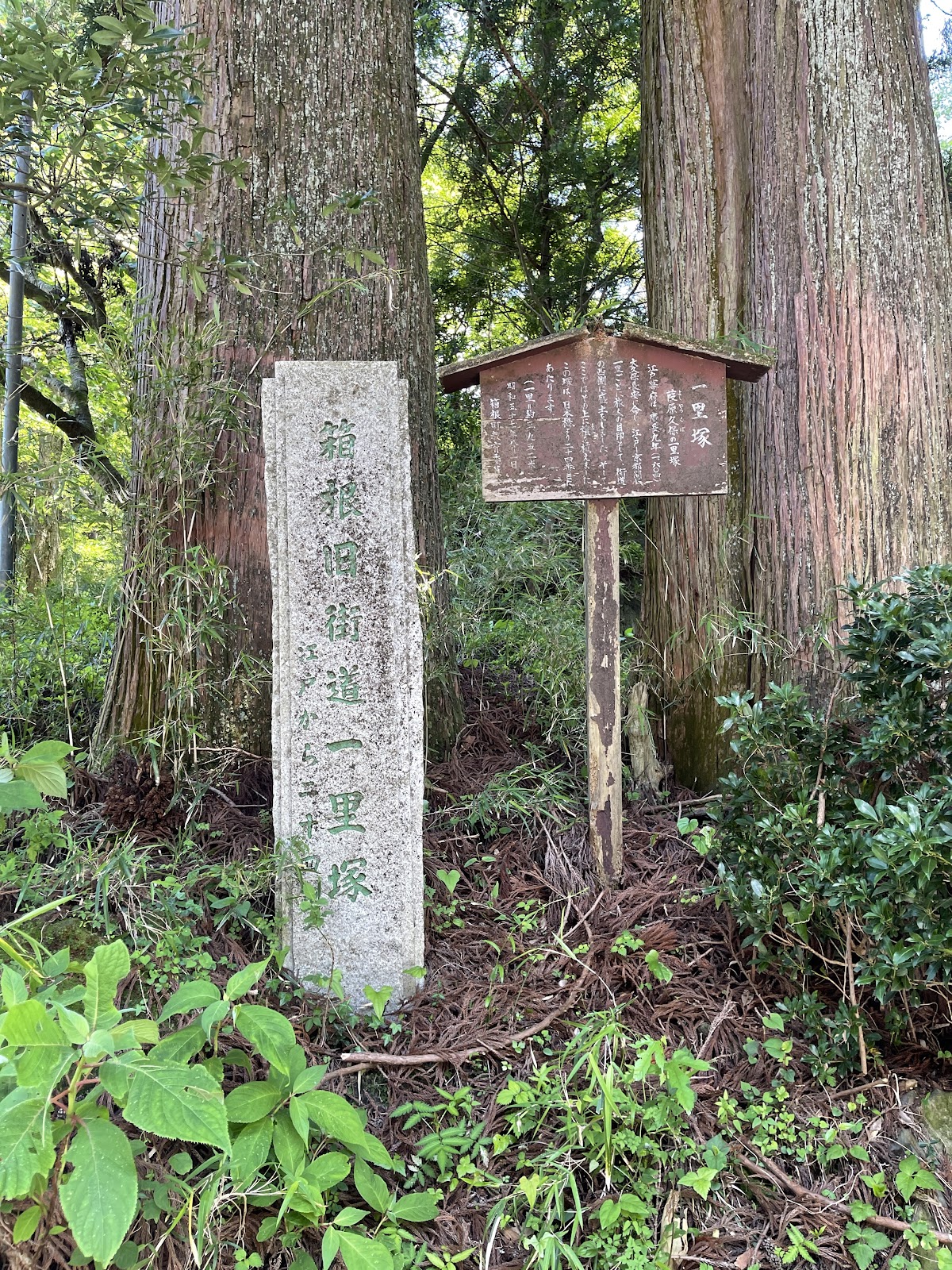 Old Tōkaidō Road Ancient Cedar Avenue - East End 2