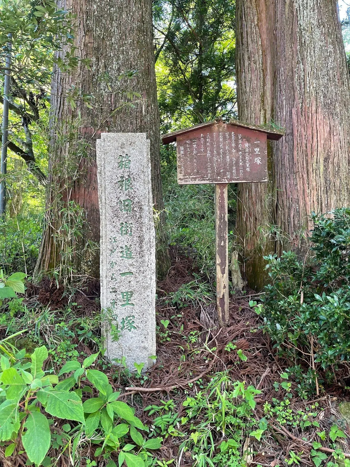 Old Tōkaidō Road Ancient Cedar Avenue - East End 2