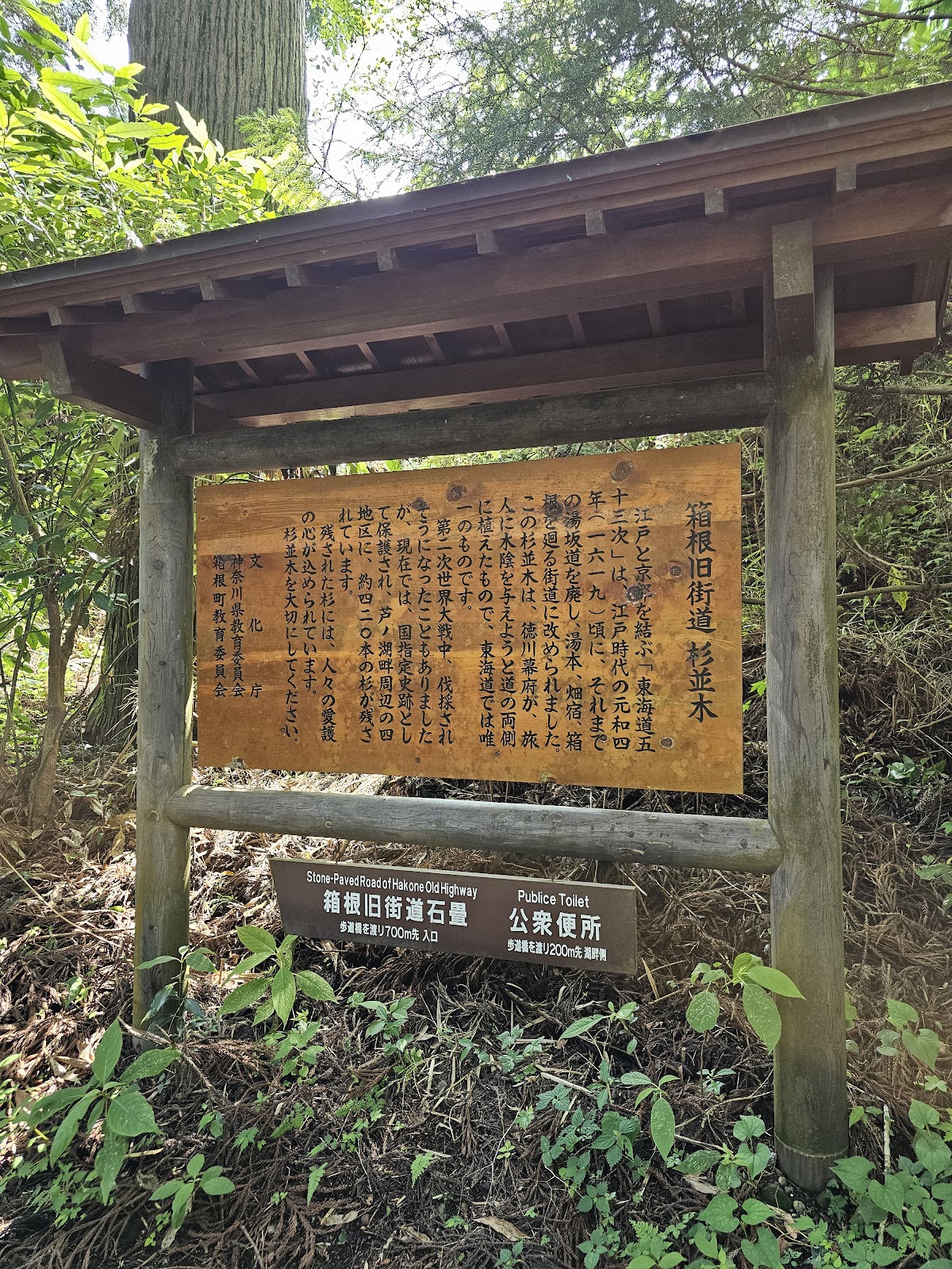 Old Tōkaidō Road Ancient Cedar Avenue - East End 3
