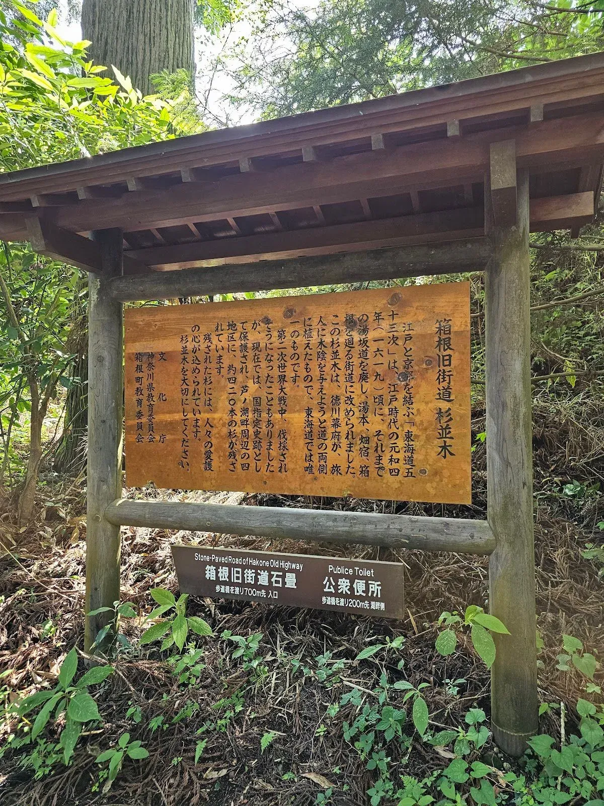 Old Tōkaidō Road Ancient Cedar Avenue - East End 3