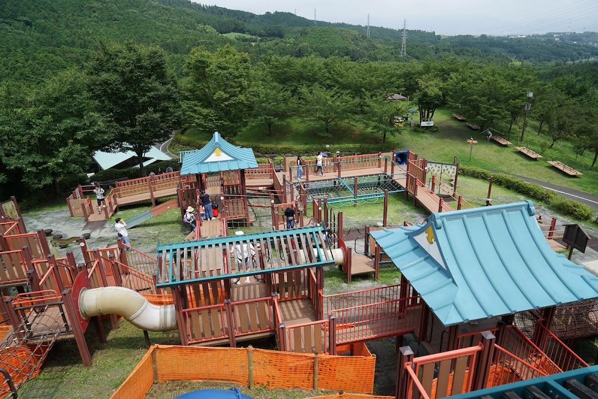 Children's Forest Wanpaku Land 3