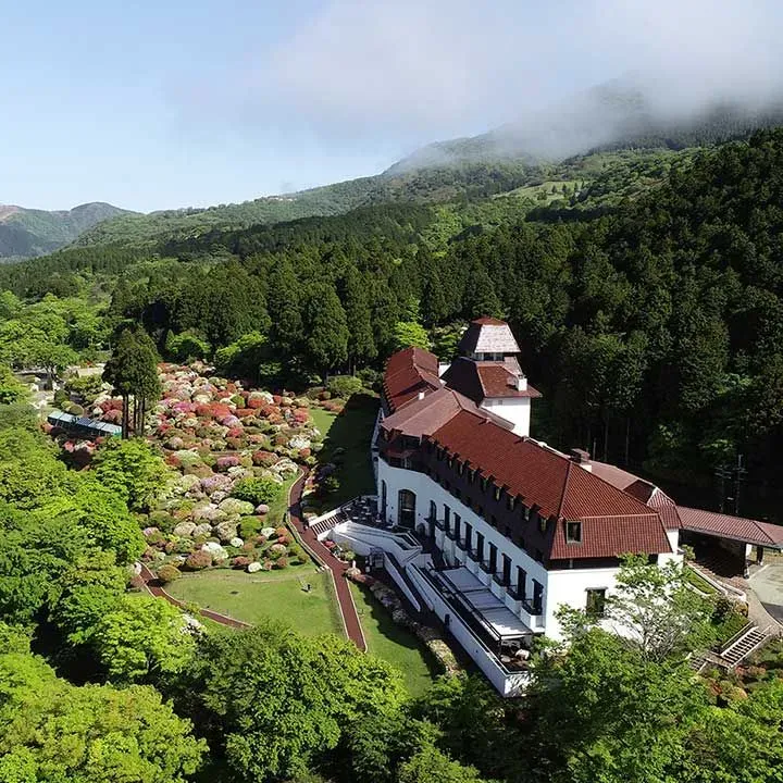 Odakyu Hotel de Yama