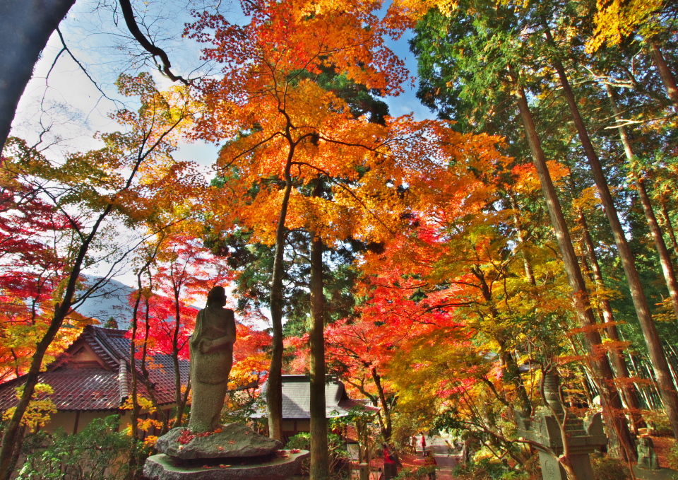 Sotoshuryukozanchoan Temple 3