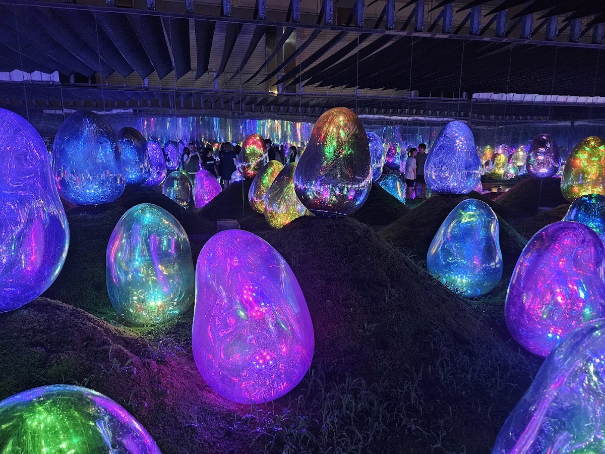 teamLab Planets TOKYO DMM 4