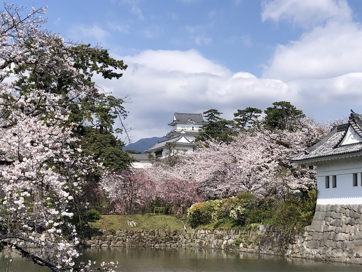 Odawara Castle 4