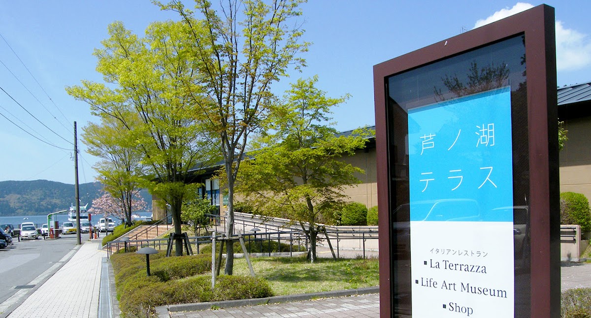 Ashinoko Terrace 4
