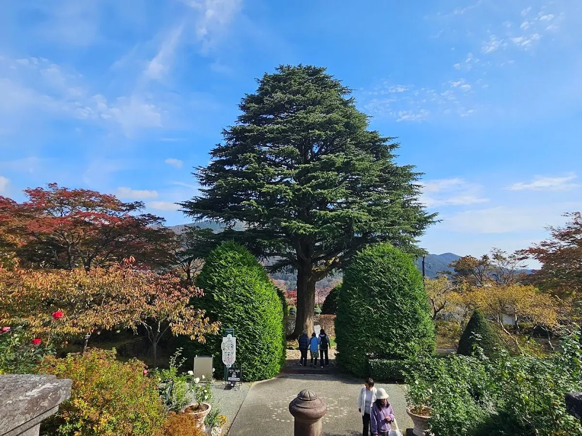 Hakone Gora Park 3