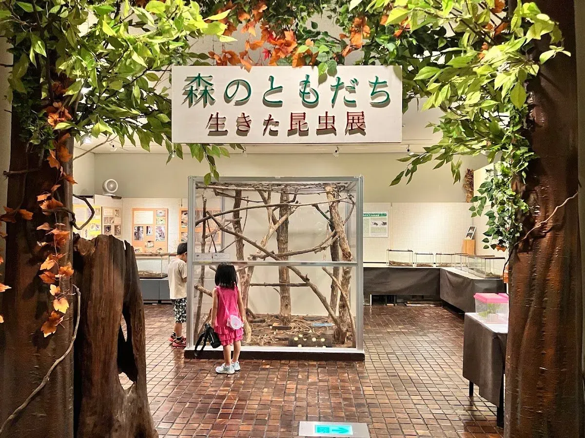 Mori-no-Fureaikan Hall (Hakone Woodland Museum) 3