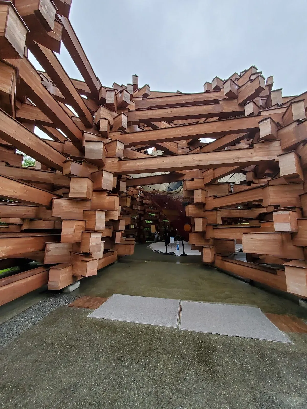Woods of Net 4