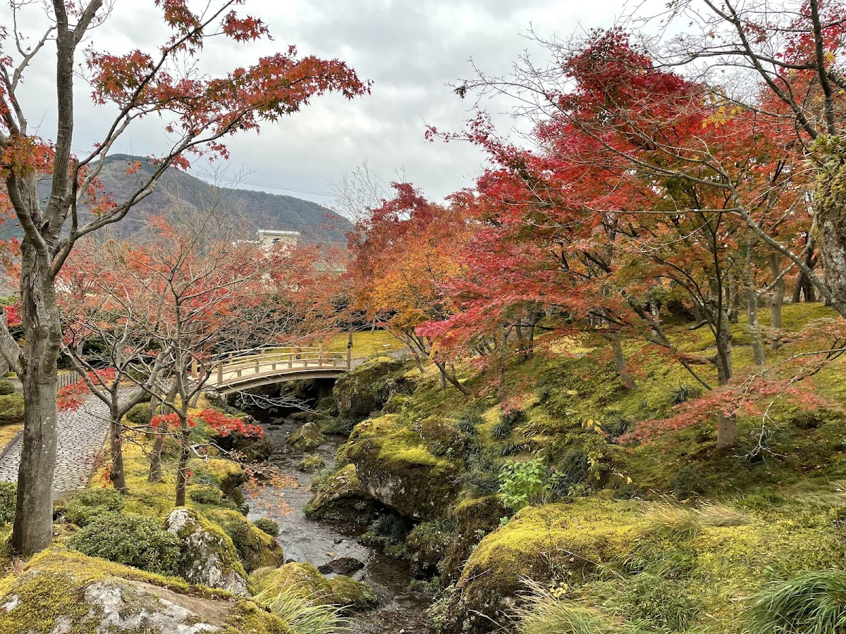 Shinsenkyo Garden
