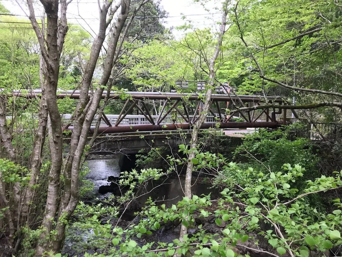 Jakotsu Bridge 3