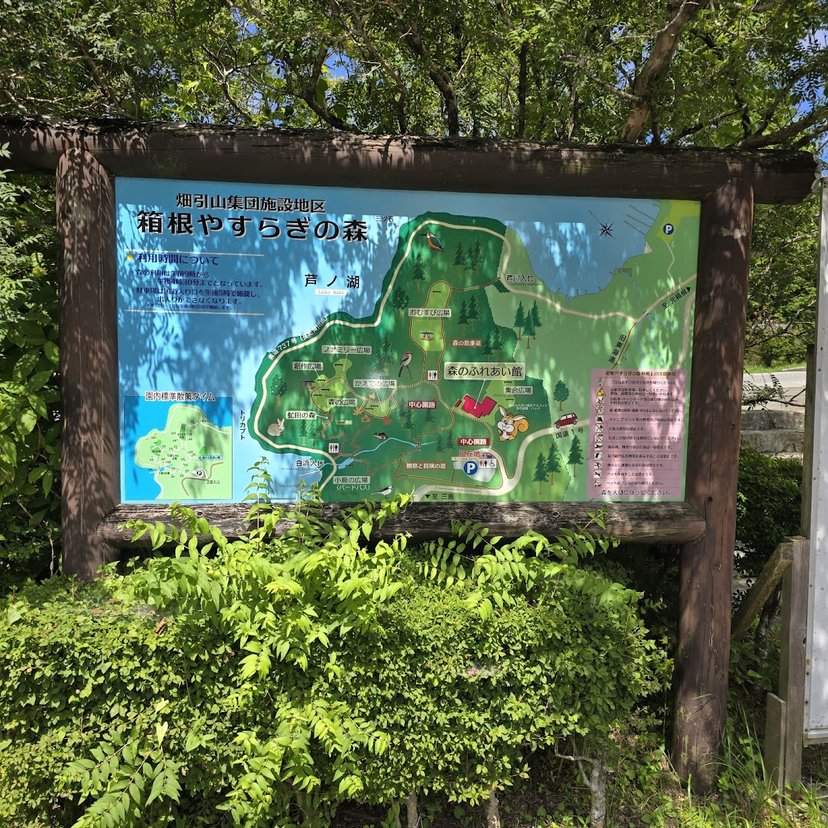 Hakone Yasuragi-no-mori 2