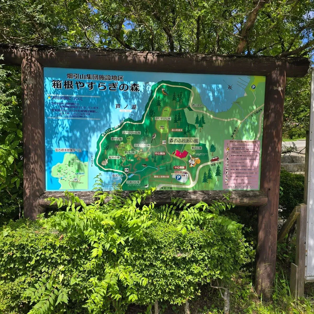 Hakone Yasuragi-no-mori 2