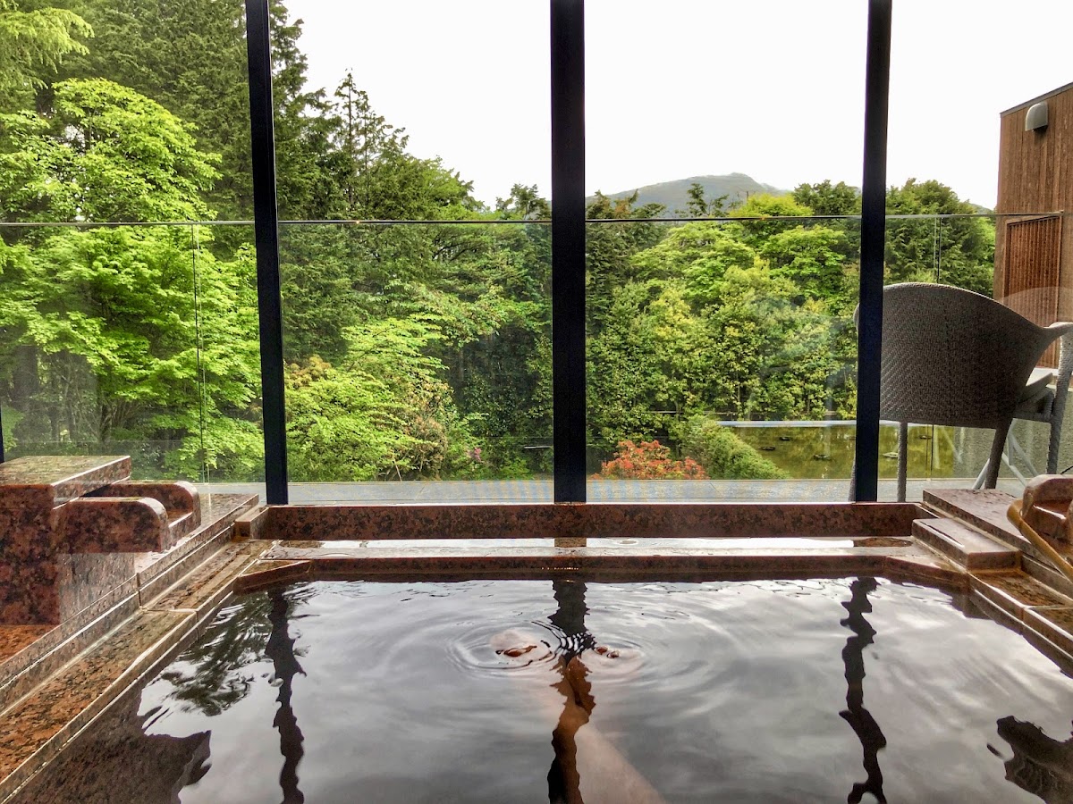 THE HIRAMATSU HOTELS & RESORTS SENGOKUHARA 3