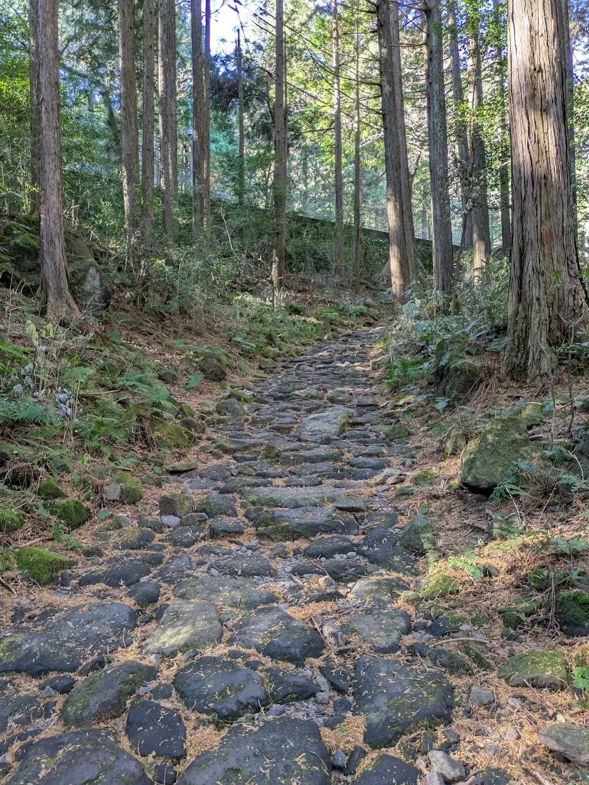 Old Tokaido Road