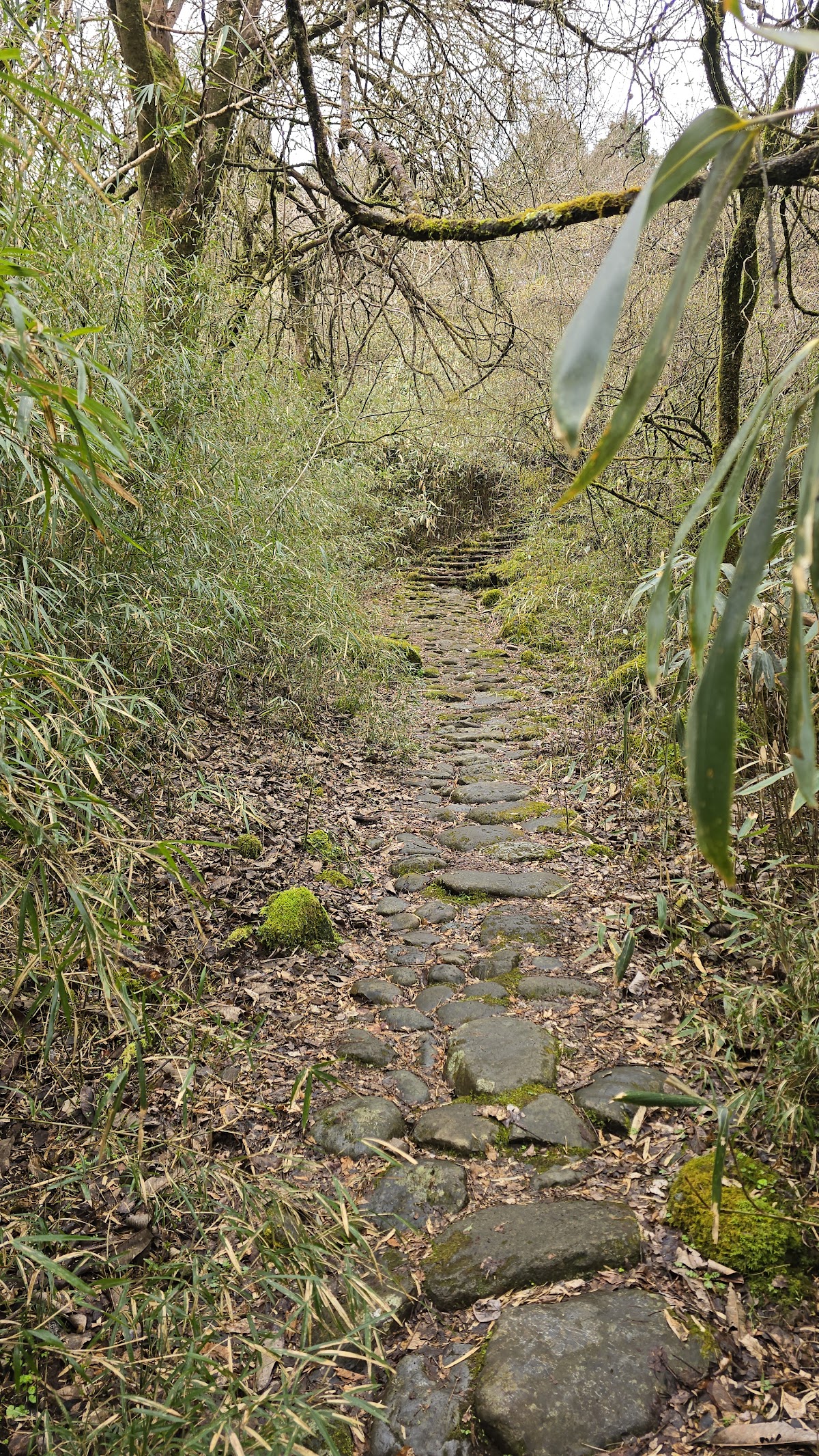 Old Tokaido Road 4