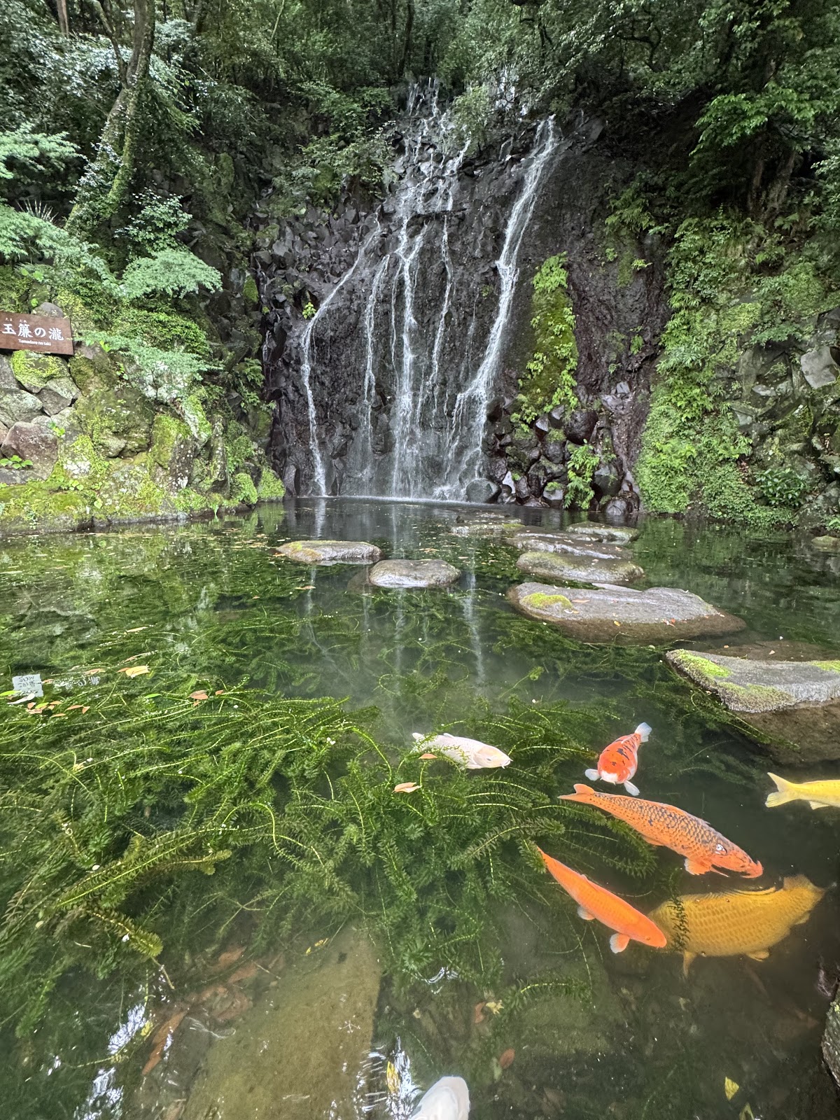 Ring Waterfall 2