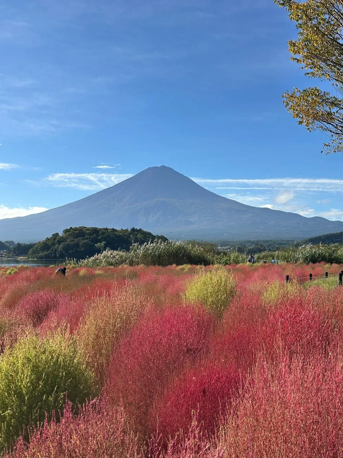 Oishi Park