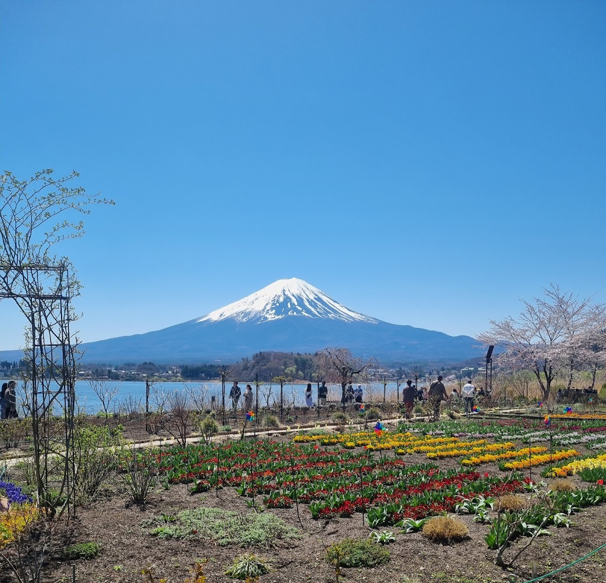 Oishi Park 2