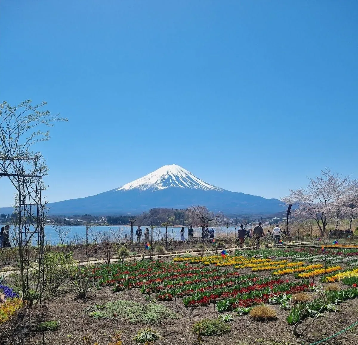 Oishi Park 2