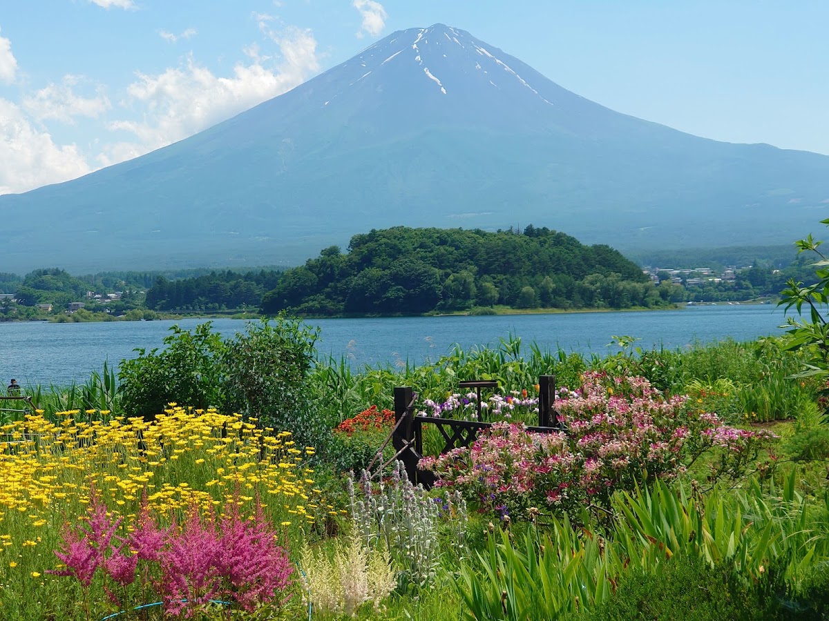Oishi Park 4