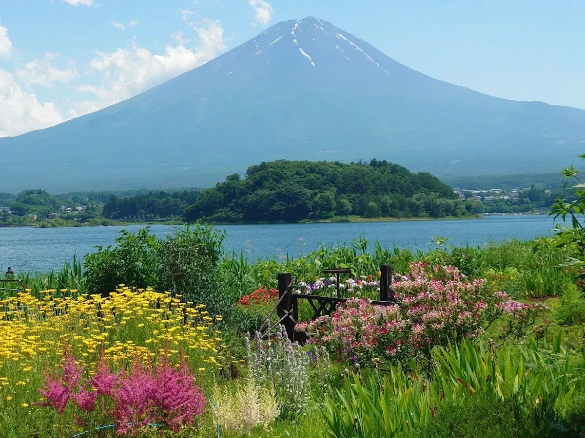 Oishi Park 4