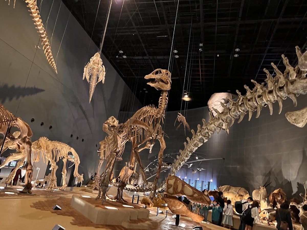 Kanagawa Prefectural Museum of Natural History 2