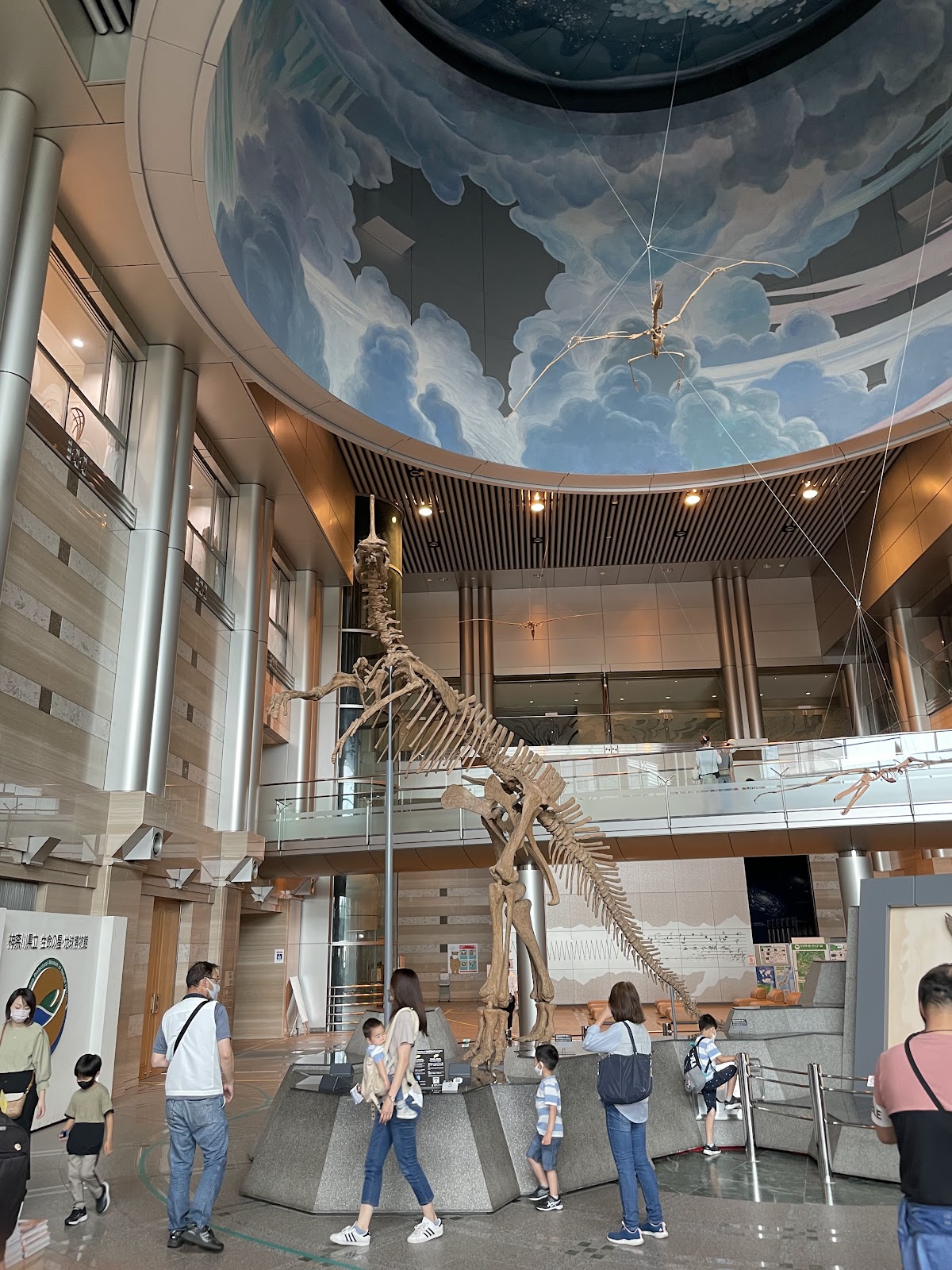 Kanagawa Prefectural Museum of Natural History 4