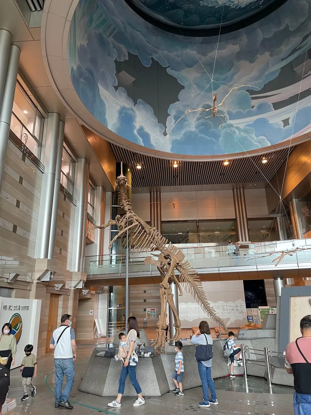 Kanagawa Prefectural Museum of Natural History 4