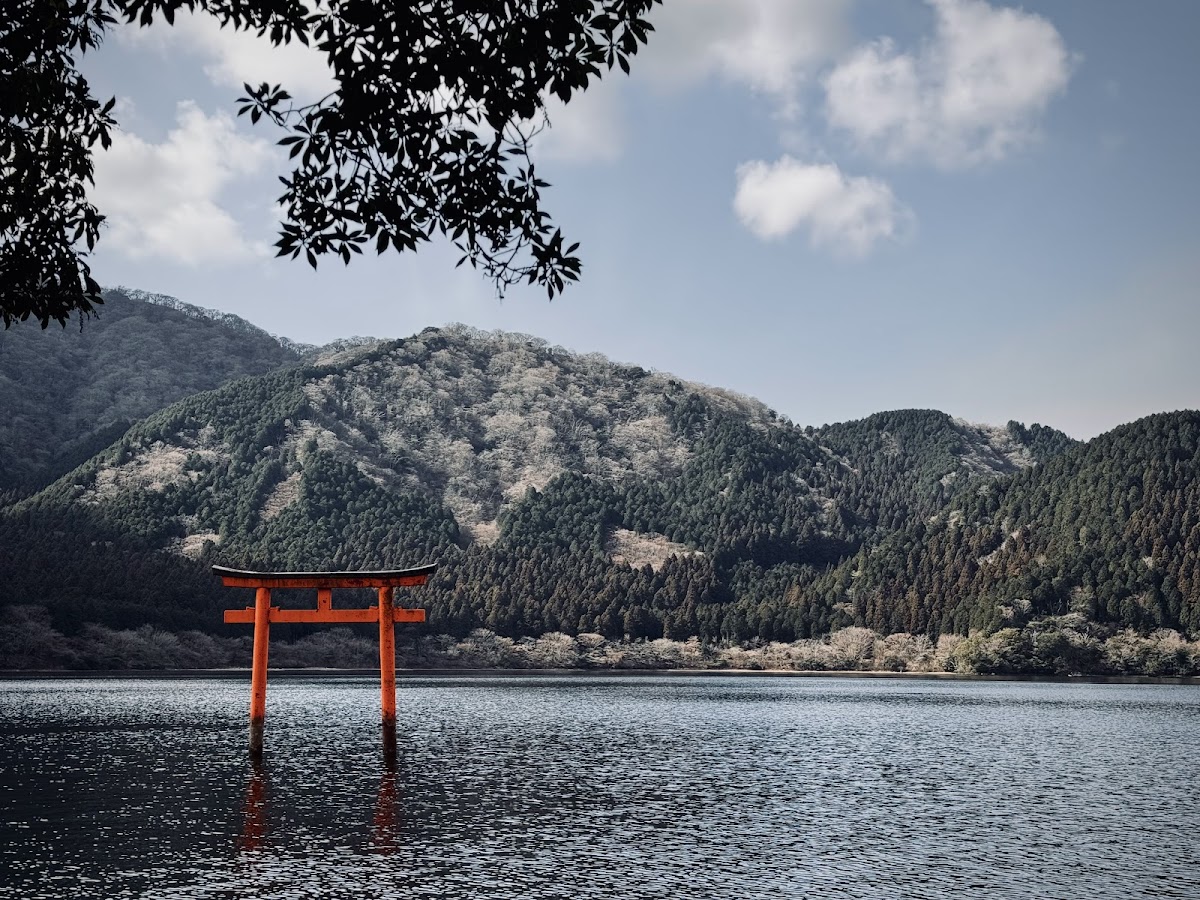 Hakone Kuzuryu-no-mori 2