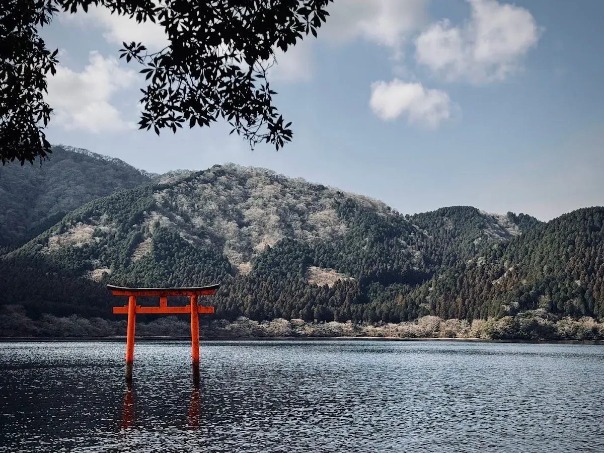 Hakone Kuzuryu-no-mori 2