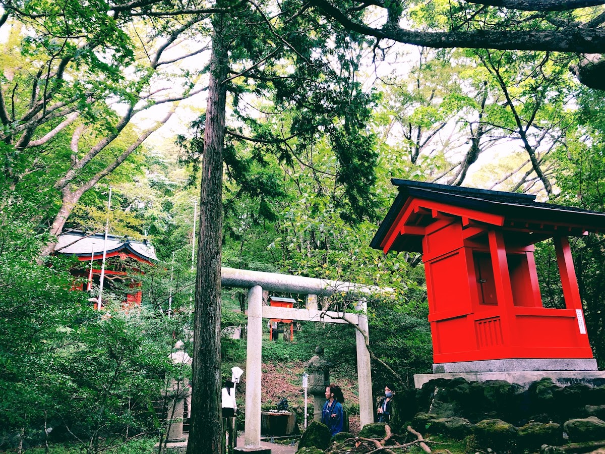 Hakone Kuzuryu-no-mori 3