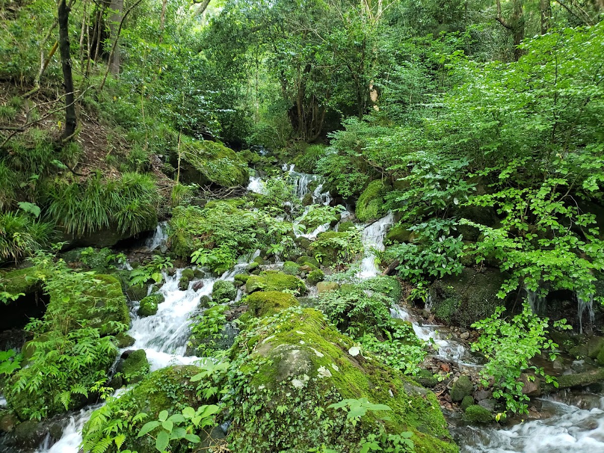 Chisuji Falls 2