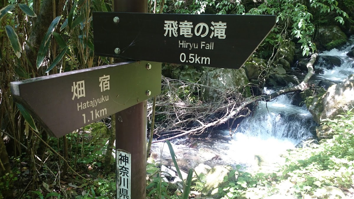 Hiryu Falls 3