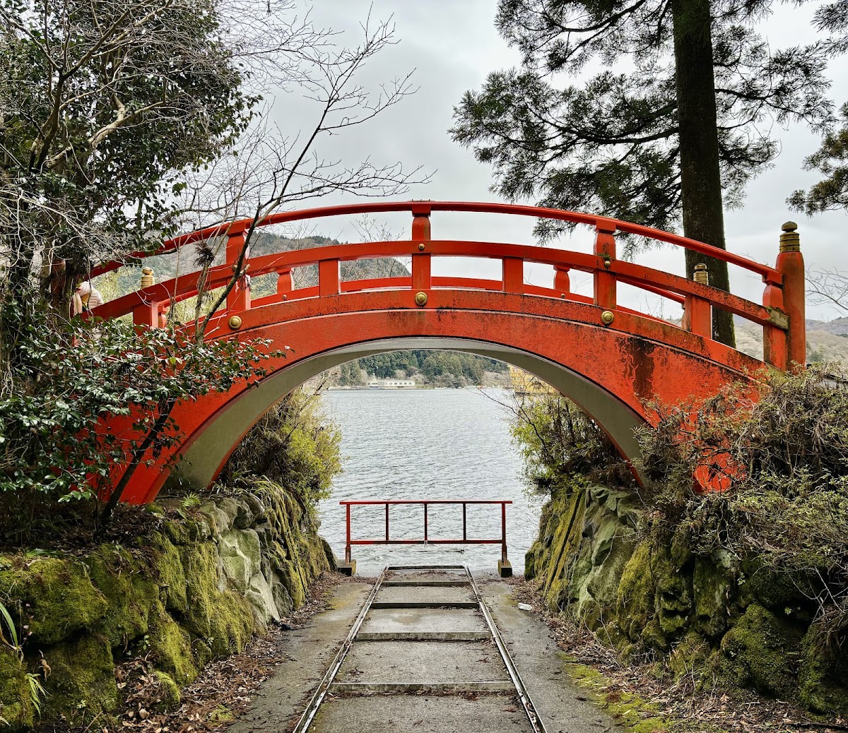 Heiwa-no-Torii (Hakone Shrine) 4