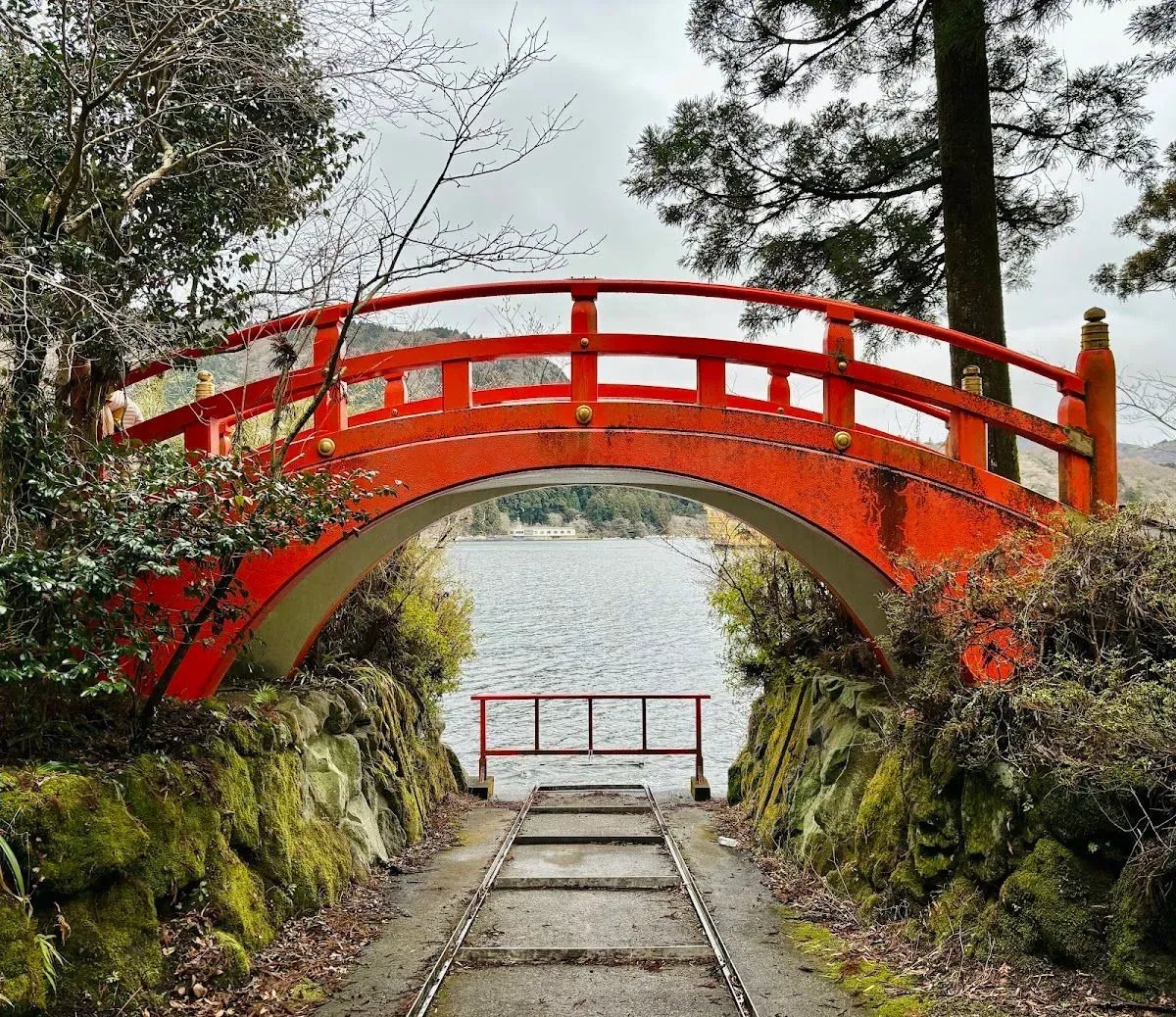 Heiwa-no-Torii (Hakone Shrine) 4