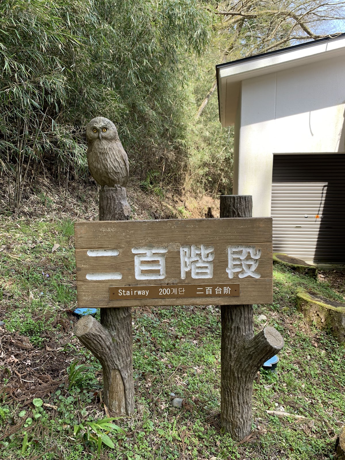 Nihyaku Kaidan (Stairs of Two Hundred Steps) 2