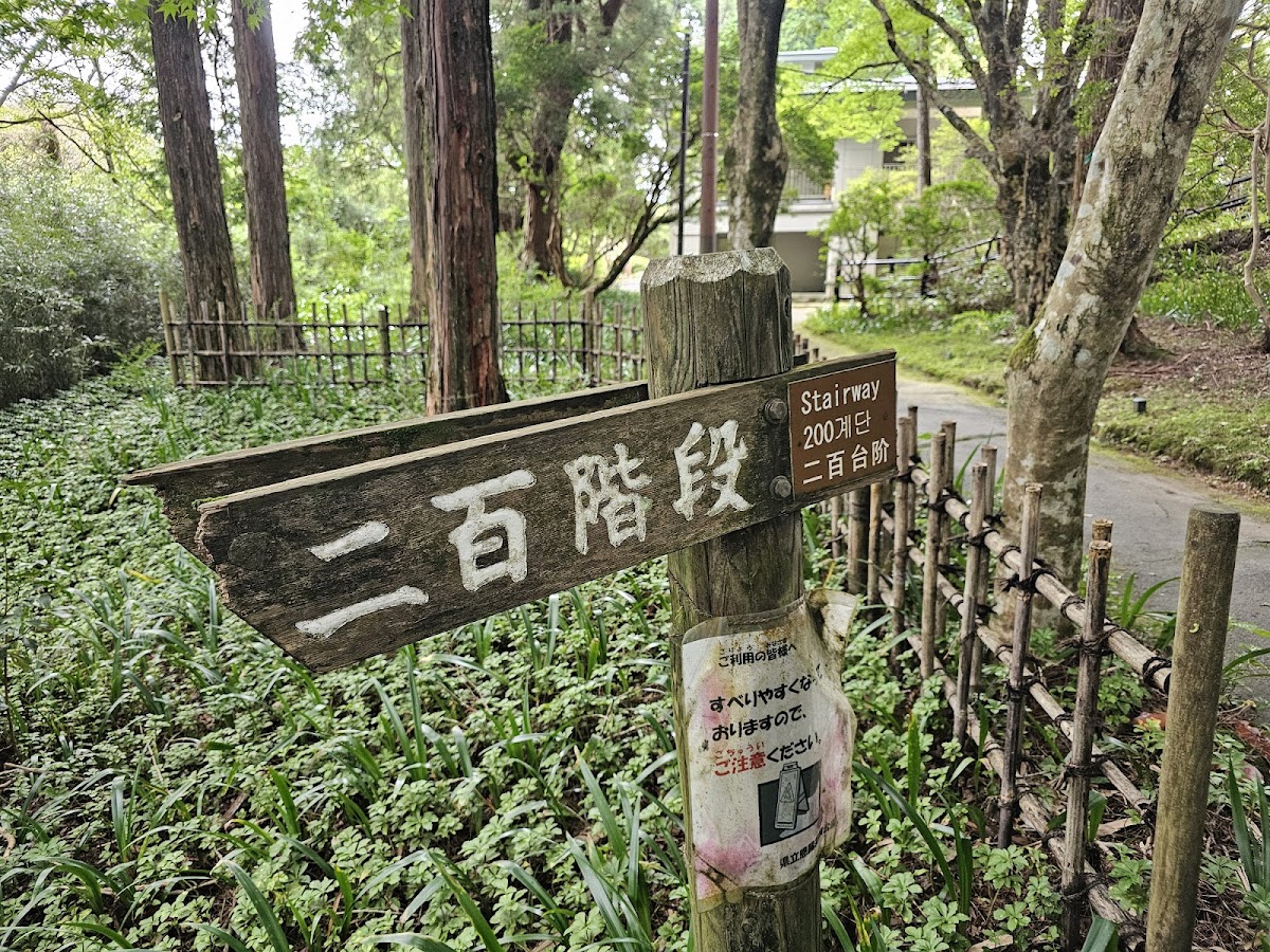 Nihyaku Kaidan (Stairs of Two Hundred Steps) 3