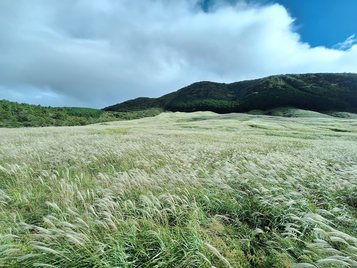 Hakone Botanical Garden of Wetlands 4