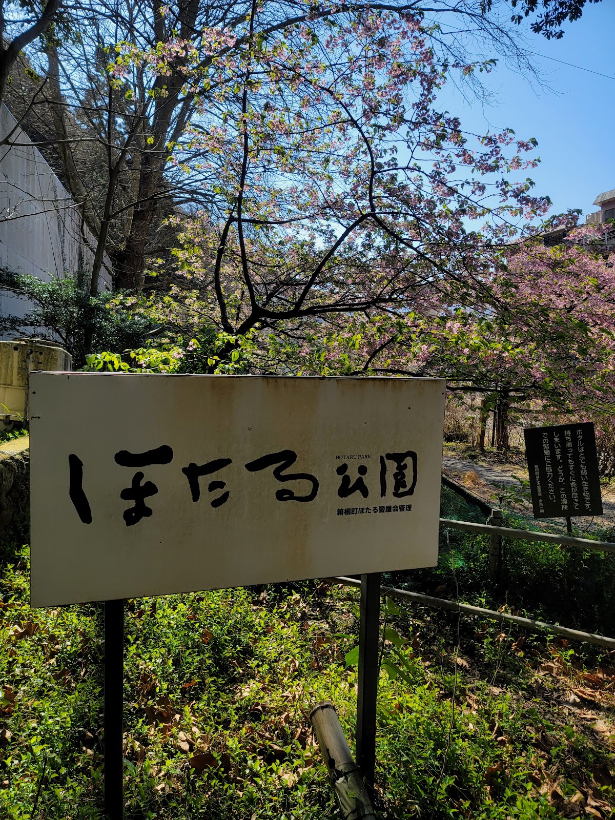 Hakone Yumoto Hotaru Park
