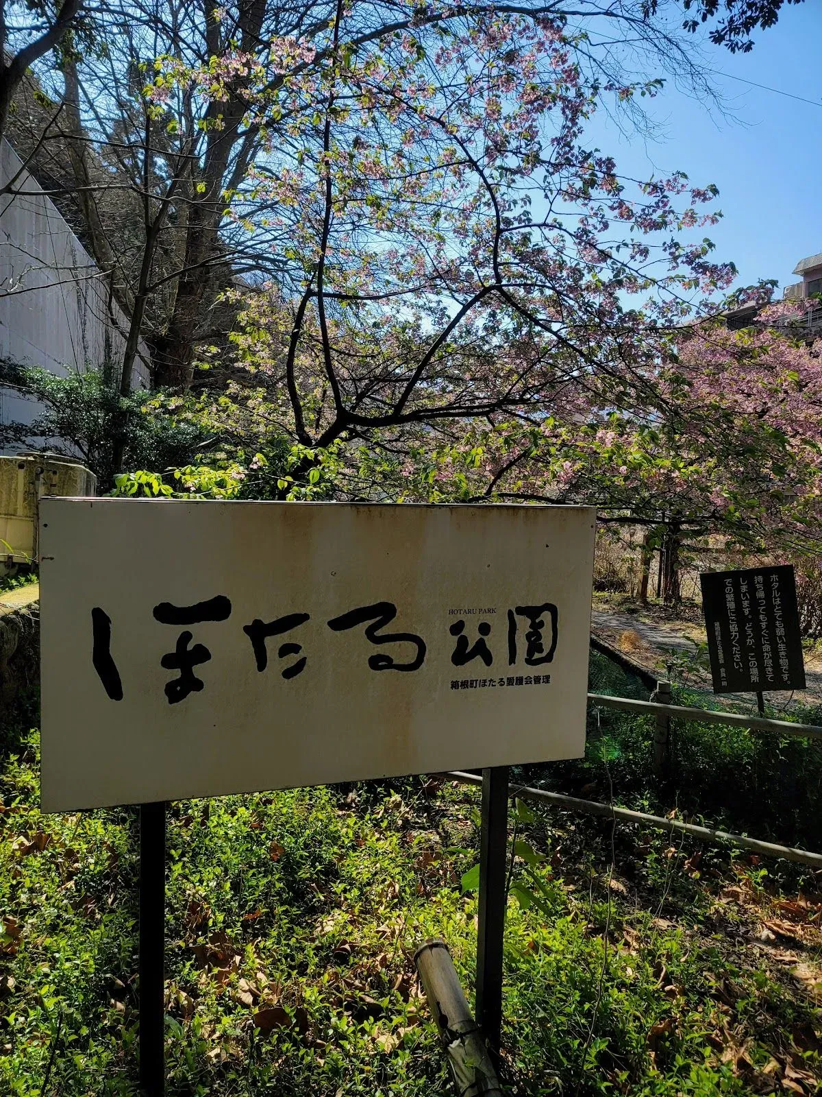 Hakone Yumoto Hotaru Park