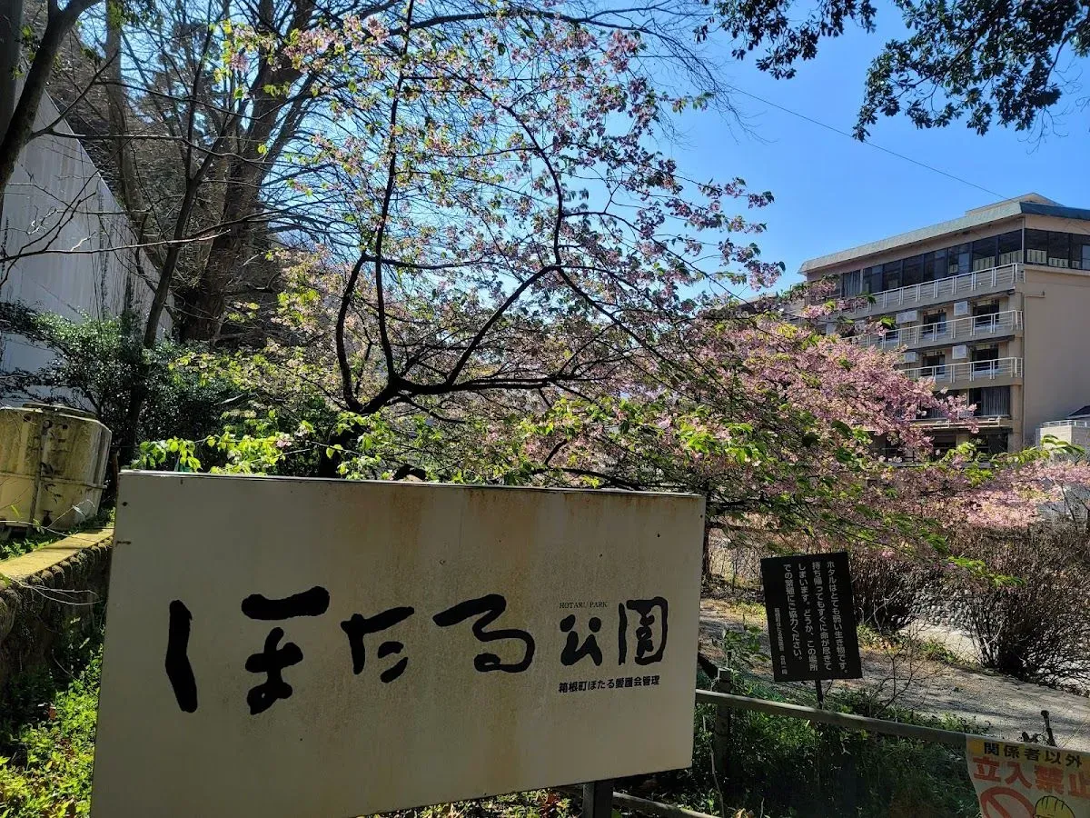 Hakone Yumoto Hotaru Park 2