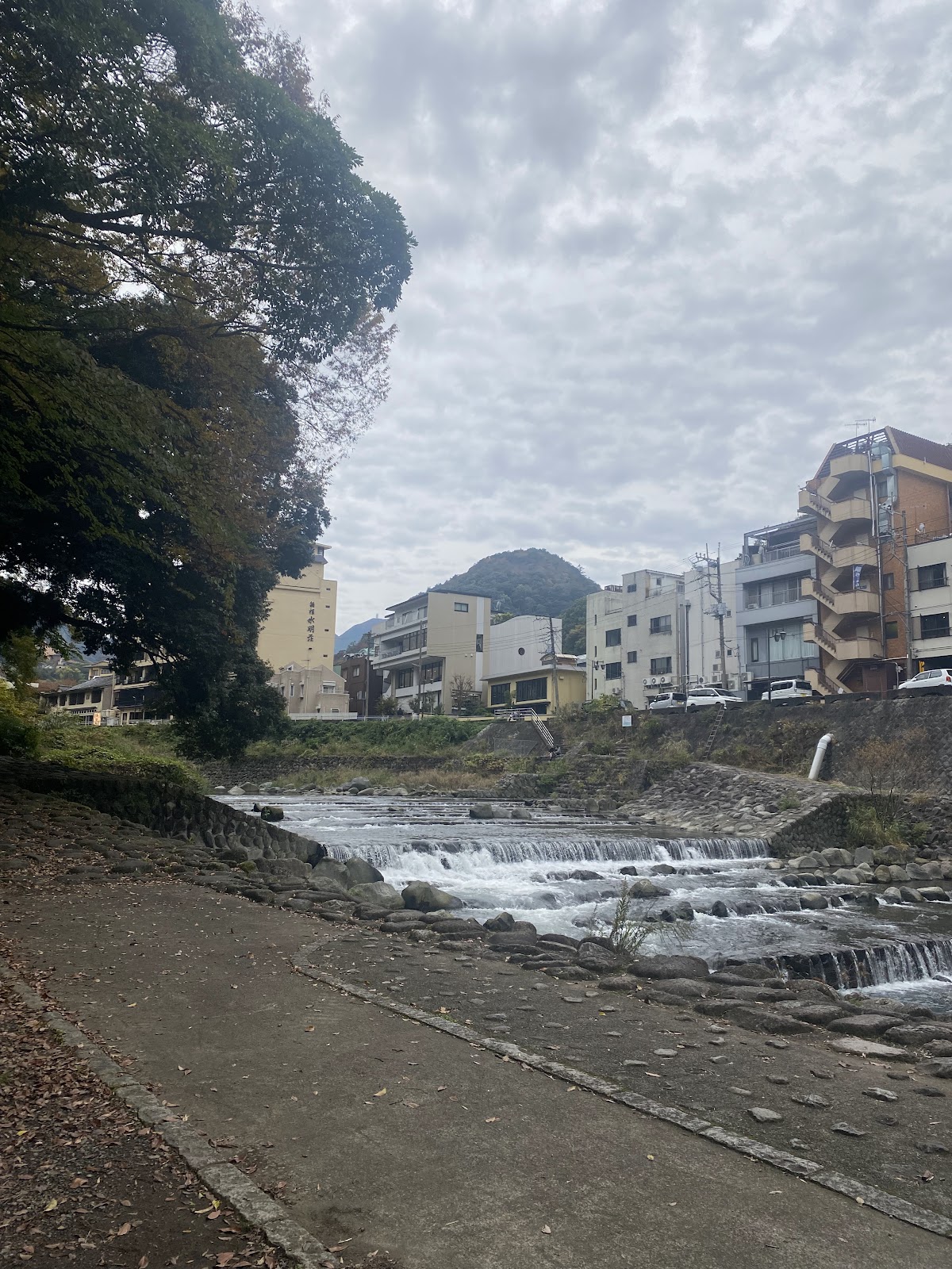 Hakone Yumoto Hotaru Park 4