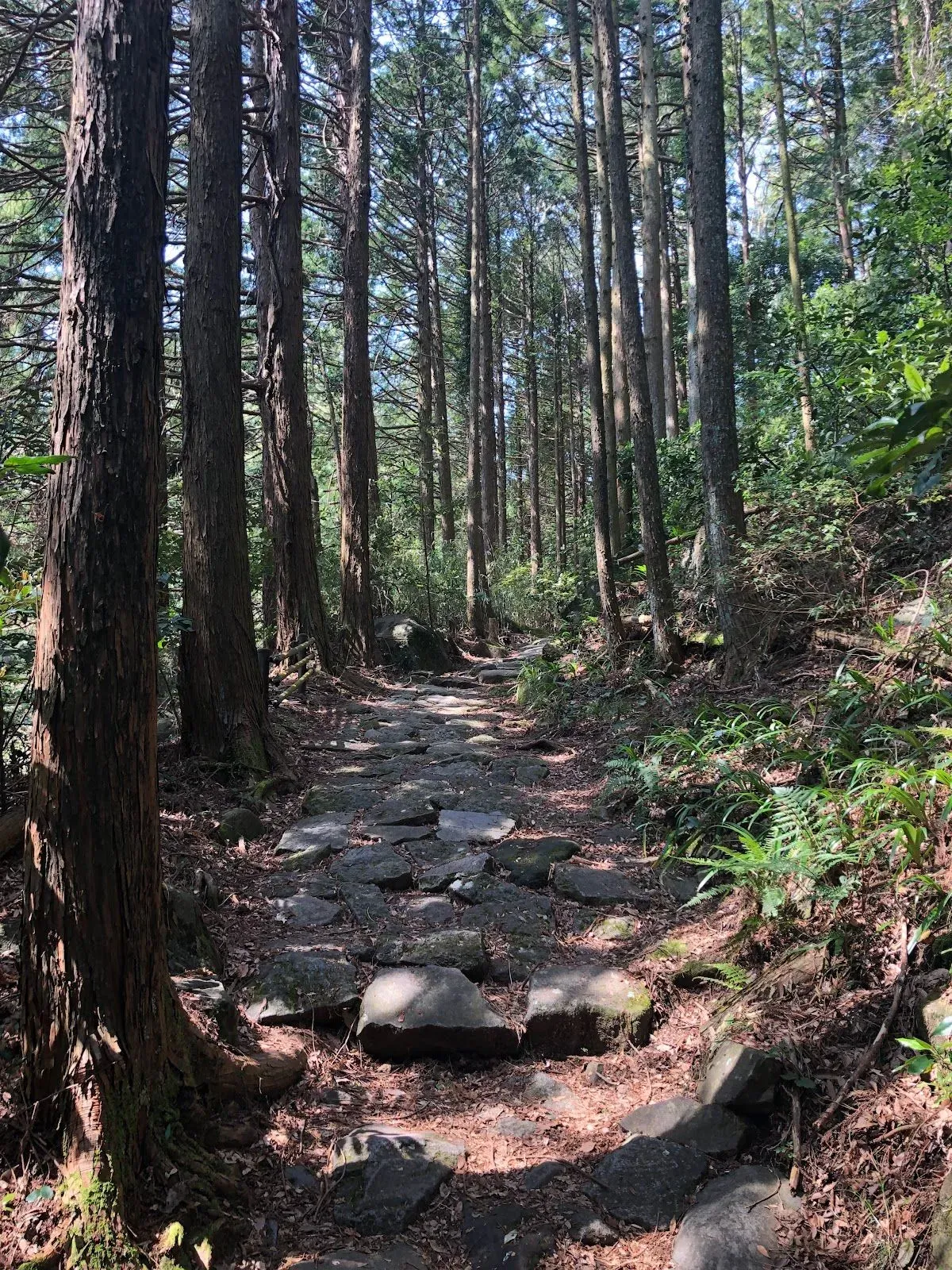 Sukumogawa Nature Exploration Trail 2