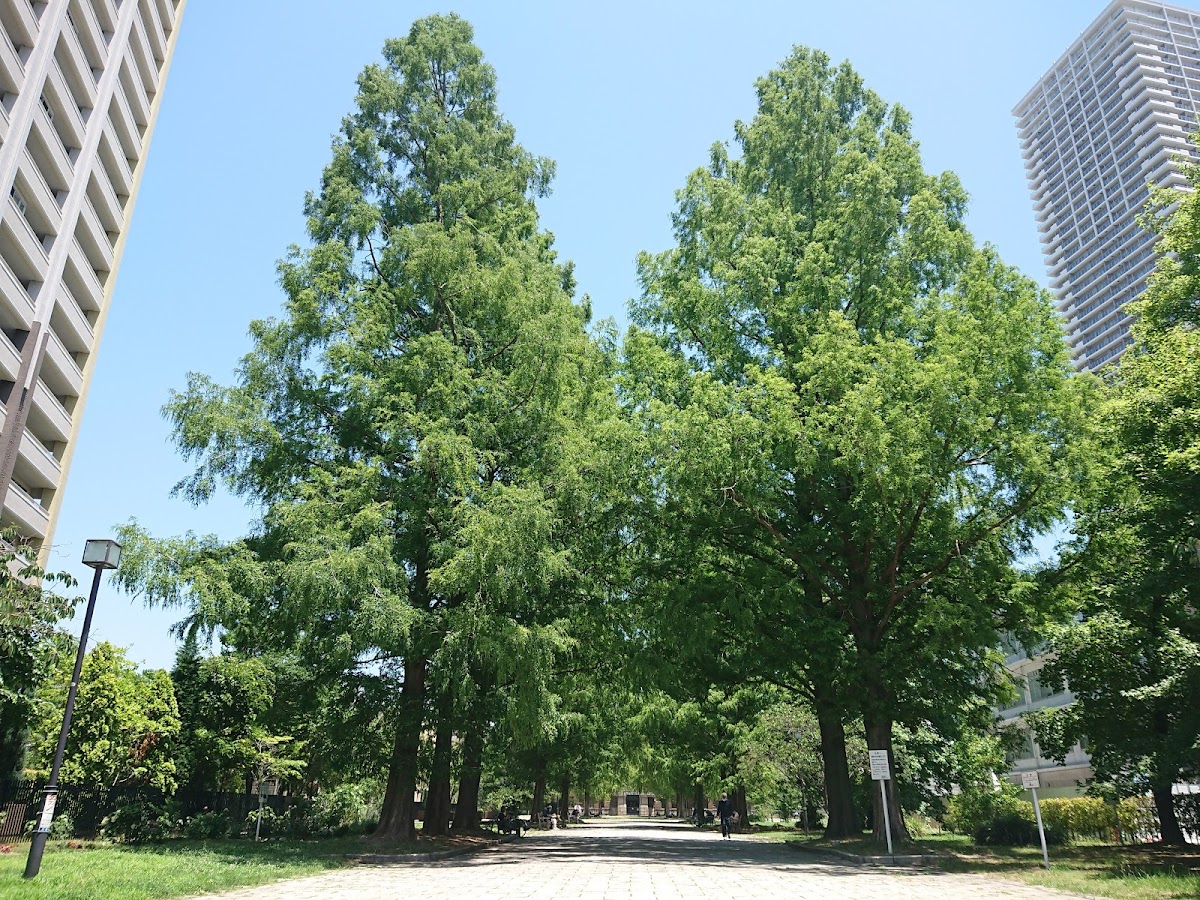 Higashi-senda Park