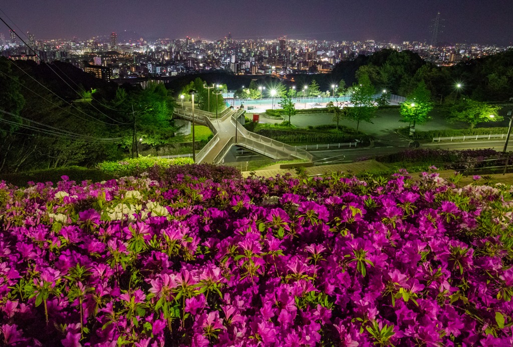 Ryuo Park 4