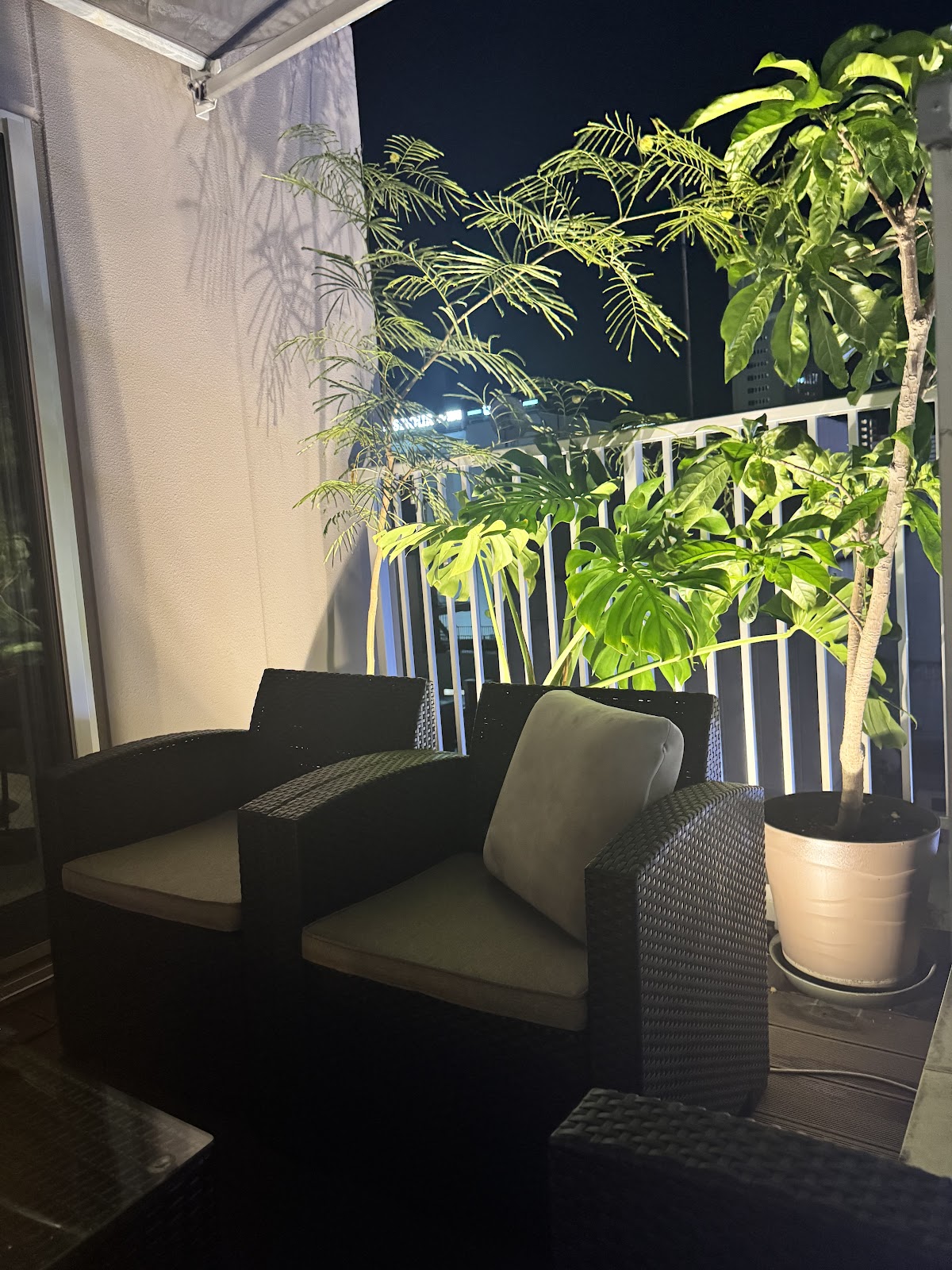 Bar Terrace｜流川 BAR