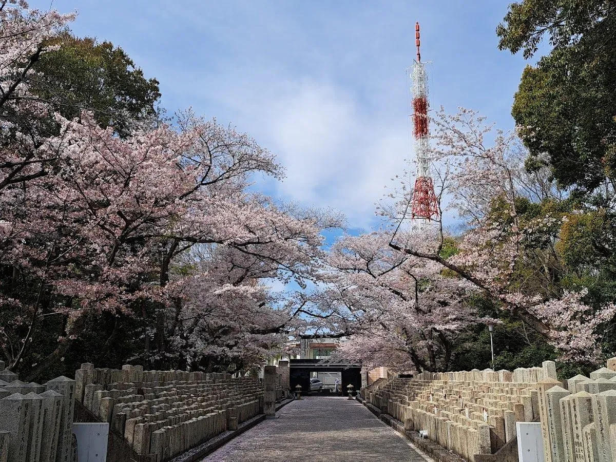 Hijiyama Park 2