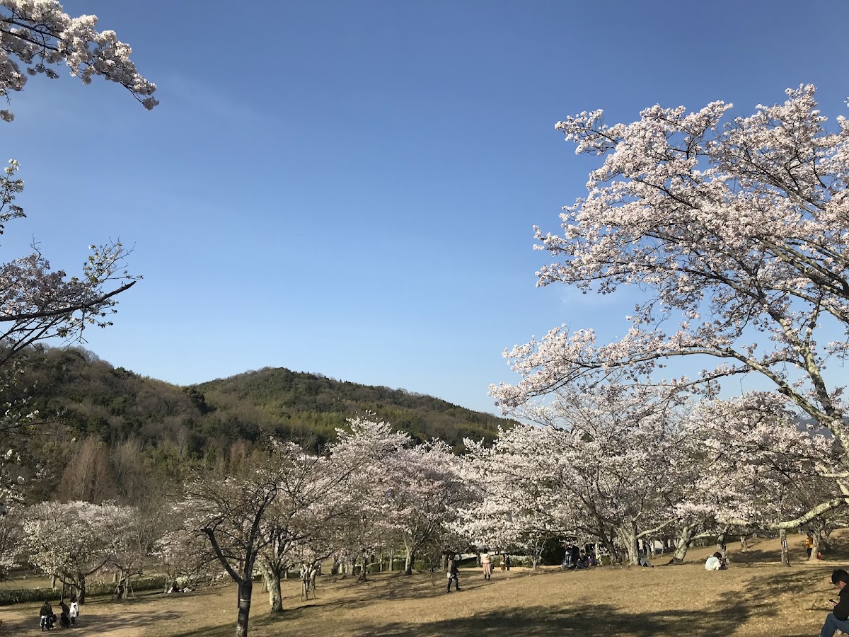 Kagamiyama Park 4